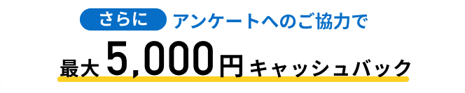 さらにアンケートへのご協力で最大5,000円キャッシュバック