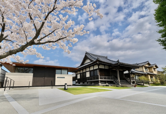 安正寺「慈桜院」