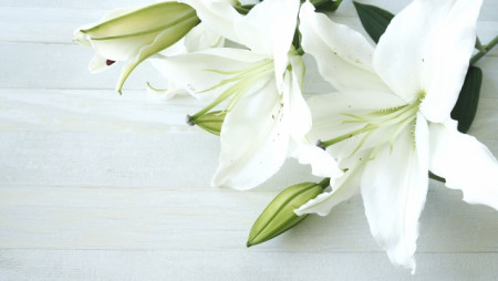 弔電の送り方・文例集:電報を使うタイミングと注意点