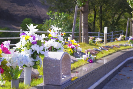 樹木葬とは？墓石を持たないお墓のメリット・デメリット