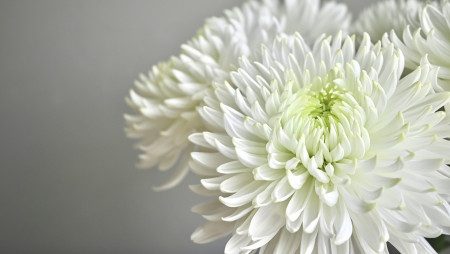 参列者の一言メッセージ例｜何を話せばいいか迷ったときに