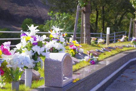 樹木葬の種類と選び方|シンボルツリー型・里山型・合祀型の違い
