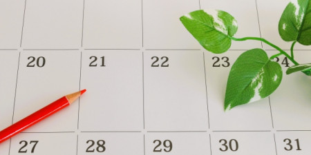 四十九日法要を前倒し・後ろ倒ししてもいい?日程調整の考え方