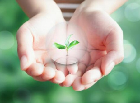 循環葬を選ぶ人の価値観と家族への配慮ポイント