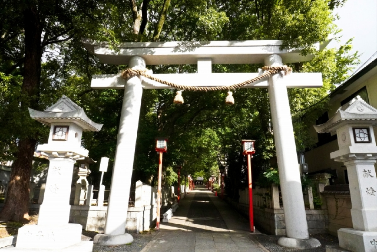 ペット 亡くなっ オファー た 神社